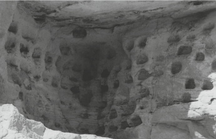 A dovecot from Life and Society in Byzantine Cappadocia by Cooper and Decker
